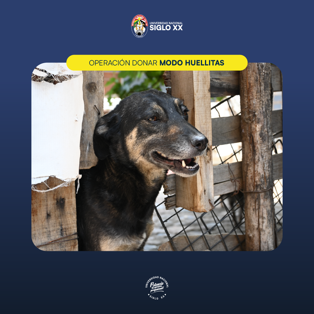 Galería de imágenes — imagen 2