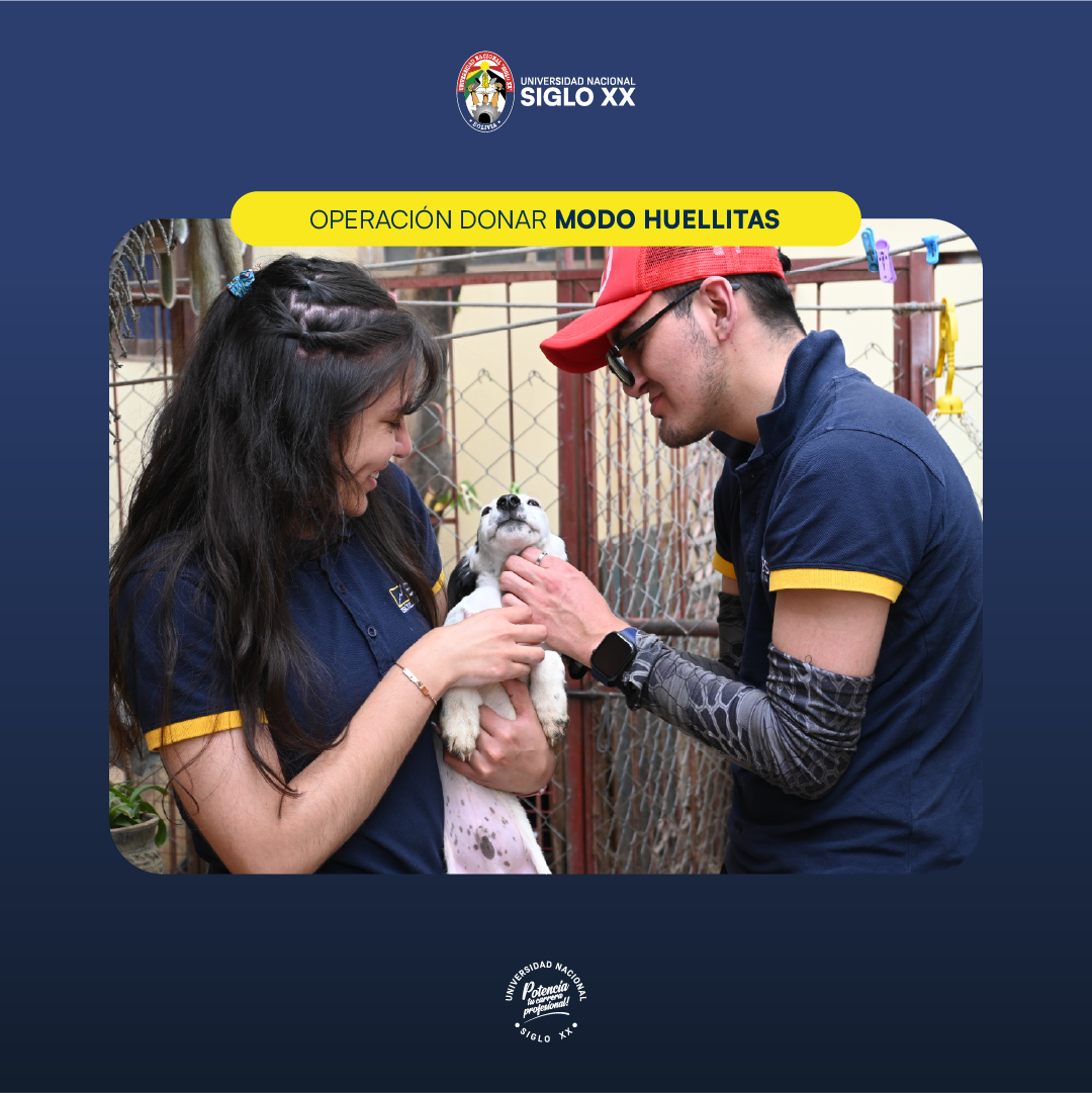 Galería de imágenes — imagen 11