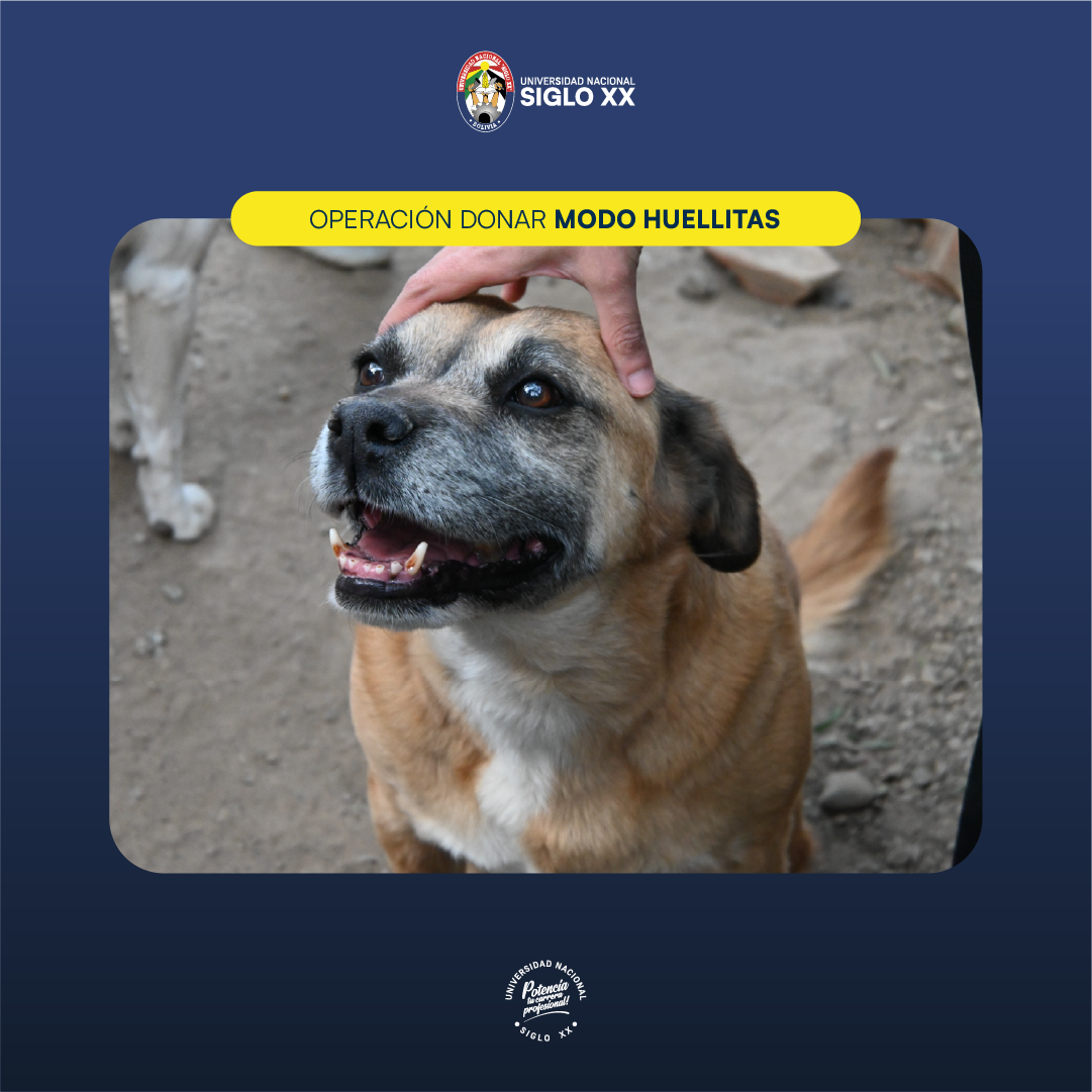 Portada de la actividad 4ta Versión Operación Donar - Modo Huellitas