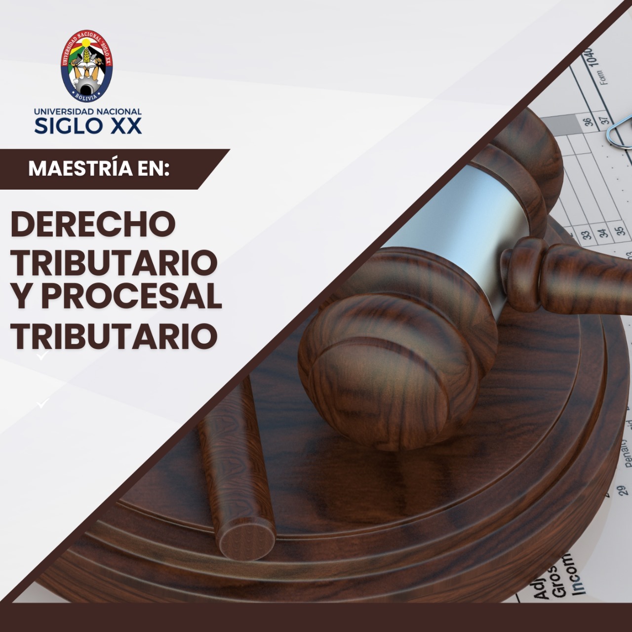 Maestría MAESTRÍA DERECHO TRIBUTARIO Y PROCESAL TRIBUTARIO