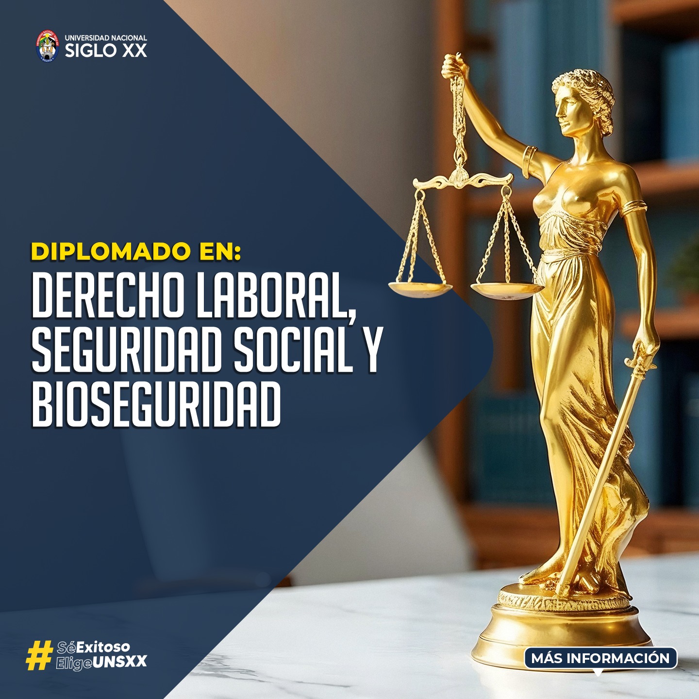 Diplomado Derecho Laboral, Seguridad Social Y Bioseguridad