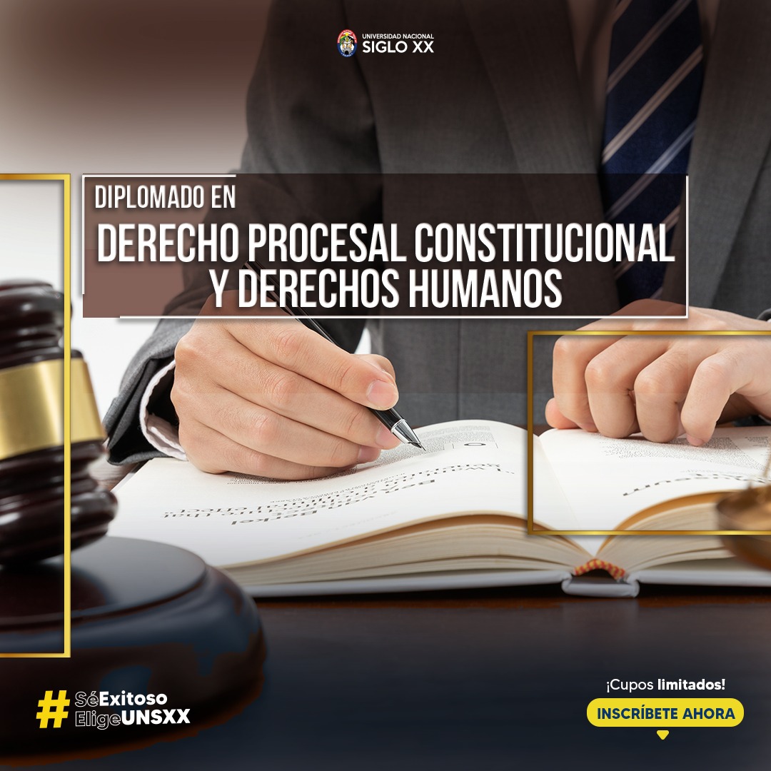 Diplomado DIPLOMADO EN DERECHO PROCESAL CONSTITUCIONAL Y DERECHOS HUMANOS