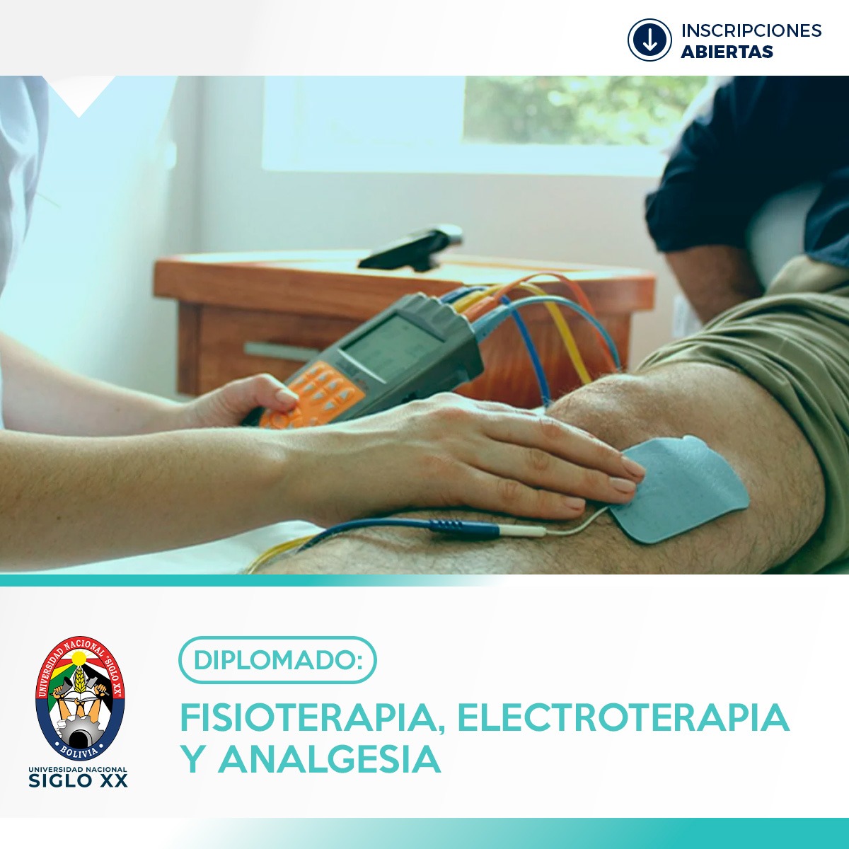 Diplomado Fisioterapia y electroterapia y Analgesia