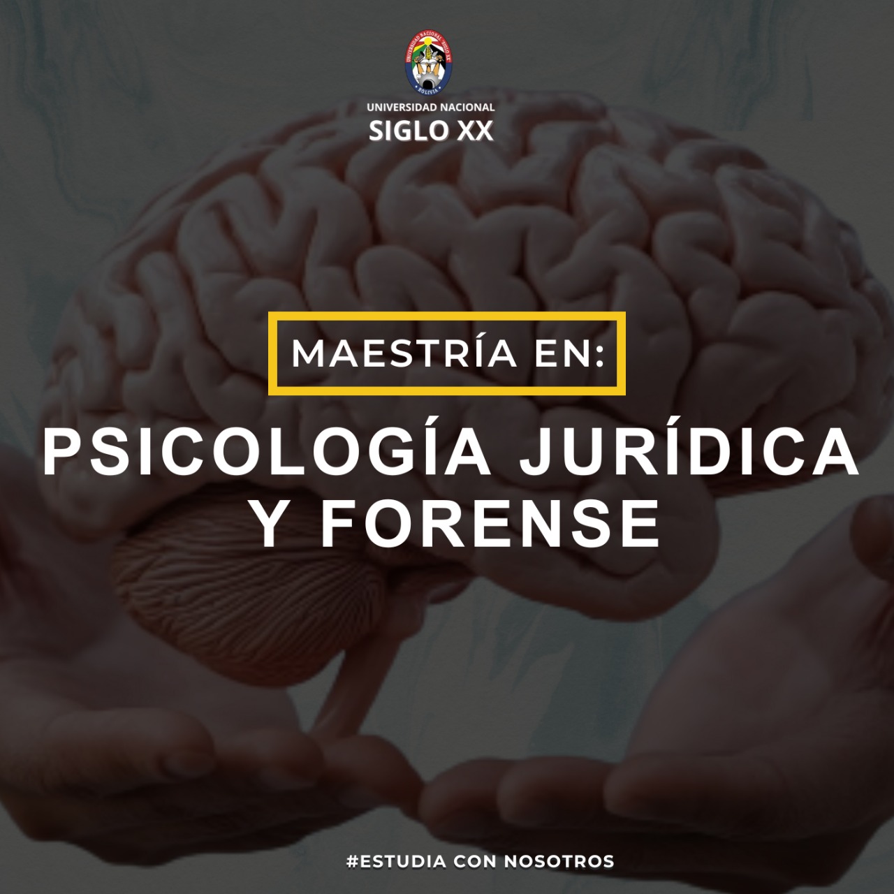 Maestría en Psicología Jurídica y Forense