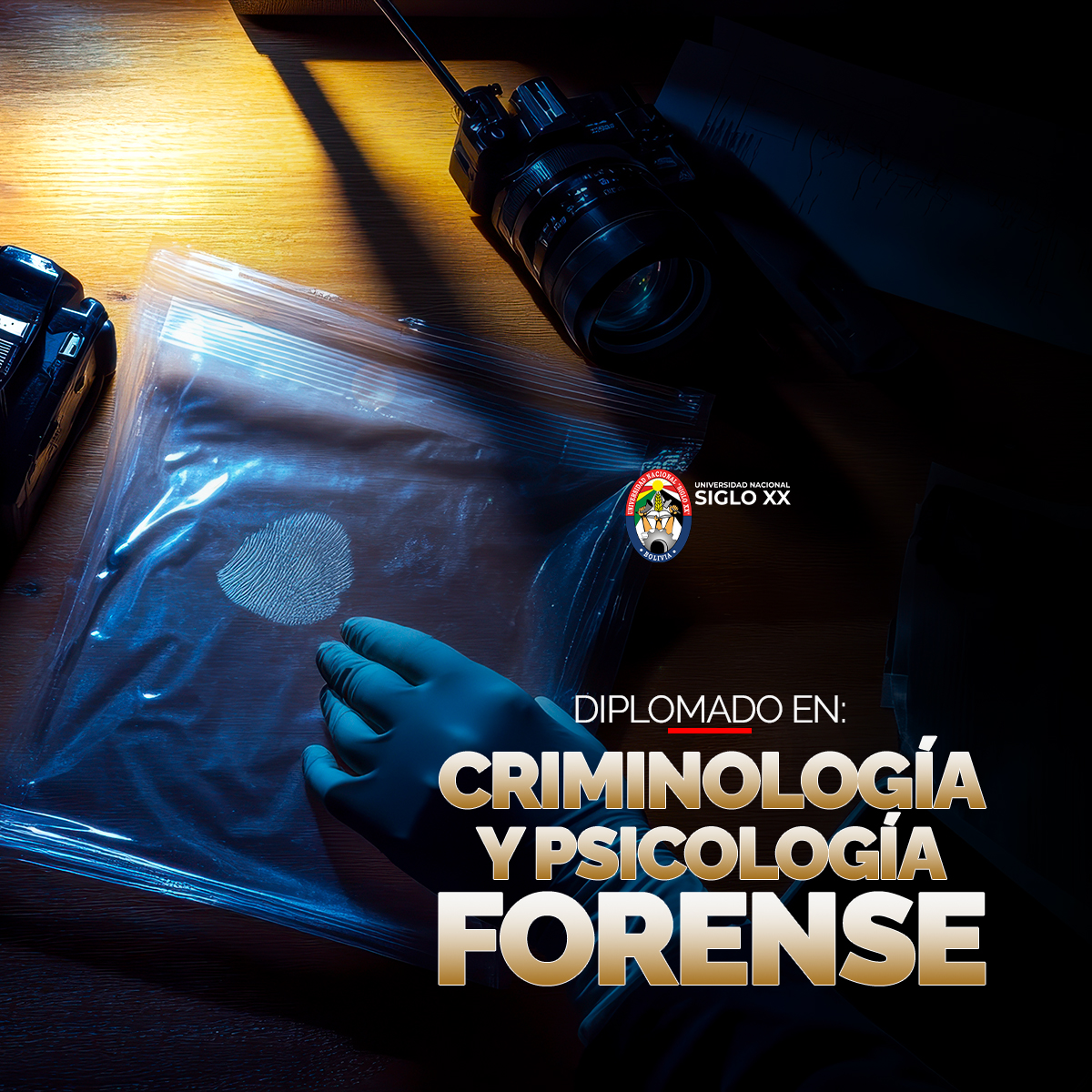 Diplomado en Criminología y Psicología Forense