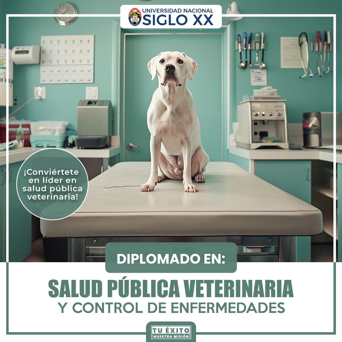 Diplomado DIPLOMADO EN SALUD PÚBLICA VETERINARIA Y CONTROL DE ENFERMEDADES