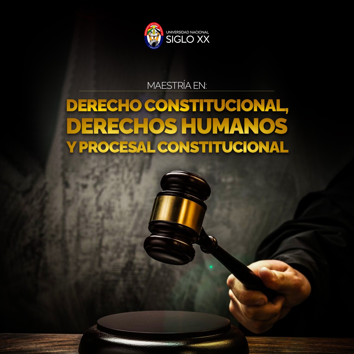 Maestría MAESTRÍA EN DERECHO CONSTITUCIONAL, DERECHOS HUMANOS Y DERECHO PROCESAL CONSTITUCIONAL