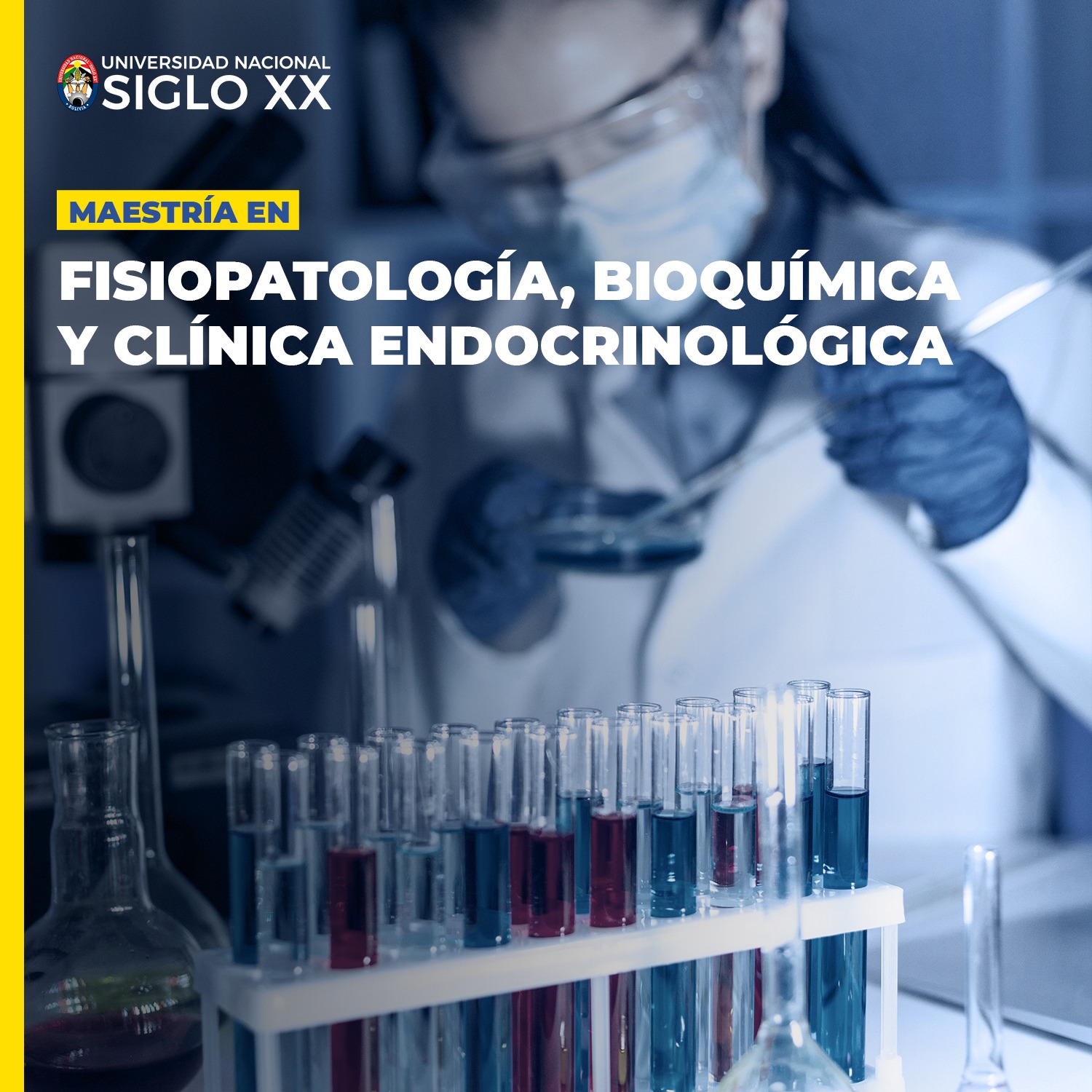 Maestría MAESTRÍA EN FISIOPATOLOGIA, BIOQUIMICA Y CLINICA ENDOCRINOLOGICA